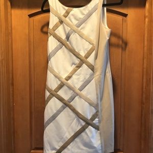 Size 8 White House Black Market Dress